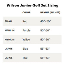 Load image into Gallery viewer, Wilson Profile JGI JR RH Carry Complete Golf Set
- 15