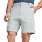 Ash Gray - 1