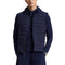 Refined Navy - 2