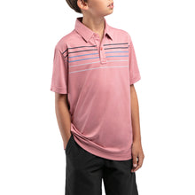 Load image into Gallery viewer, Travis Mathew J-Malm Boys Polo Shirt
 - 2